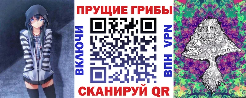 купить наркоту  Старая Русса  Галлюциногенные грибы мухоморы 